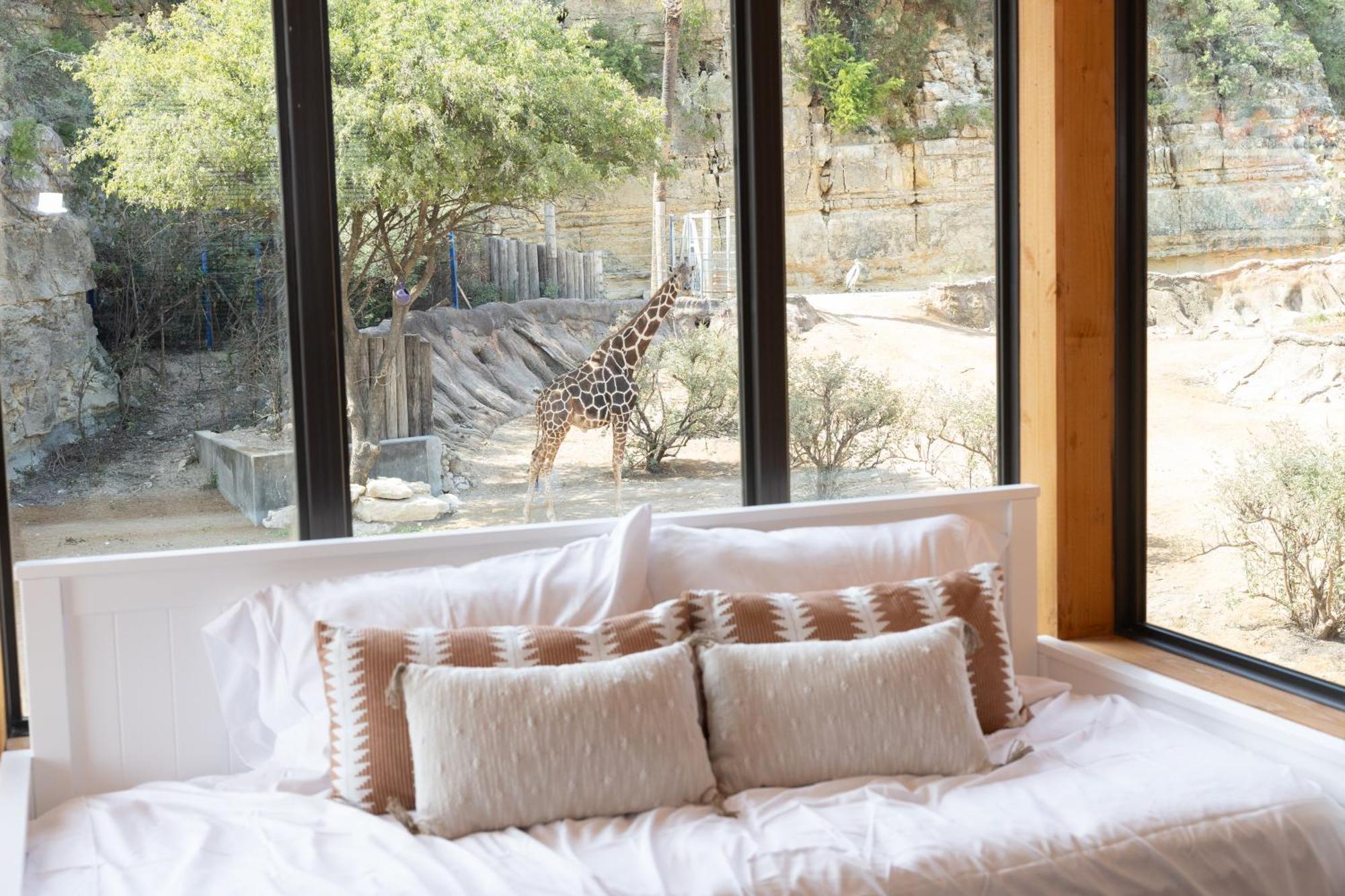 San Antonio Zoo - Spekboom Giraffe Lodge Exterior photo