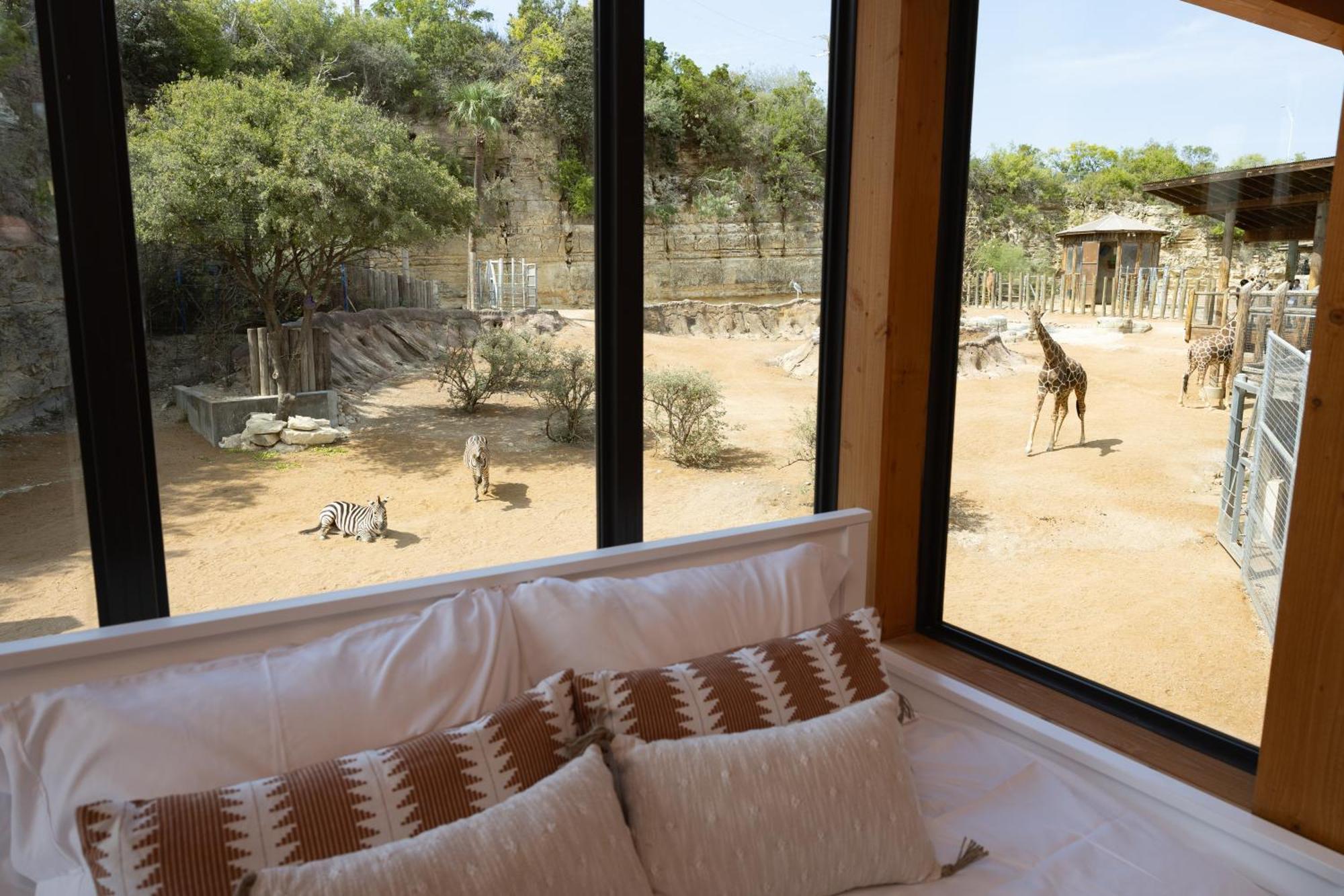 San Antonio Zoo - Spekboom Giraffe Lodge Exterior photo